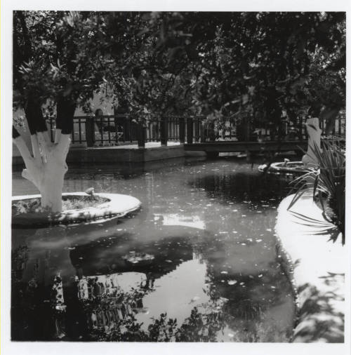 Journey's End Restaurant's Pond - 2021 W. Baseline