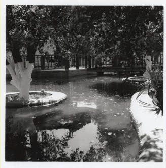 Journey's End Restaurant's Pond - 2021 W. Baseline