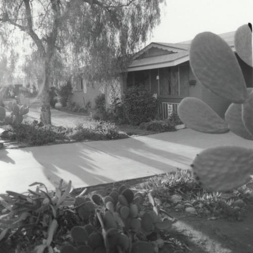 Unidentified Home with Desert Landscaping