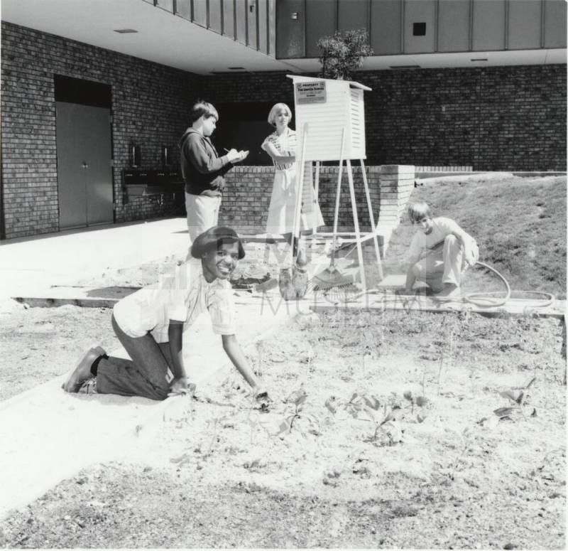 Work Study At Fuller Elementary School - A Tempe Daily News Article - Gardening Scientifically