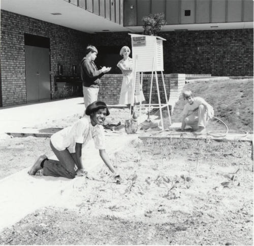 Work Study At Fuller Elementary School - A Tempe Daily News Article - Gardening Scientifically