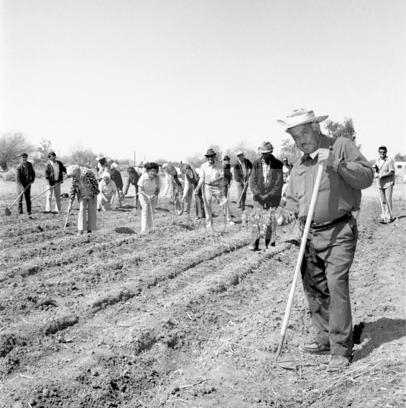 New Community Garden For Senior Citizens At 2525 East Victory Drive - From A Tempe Daily News Article