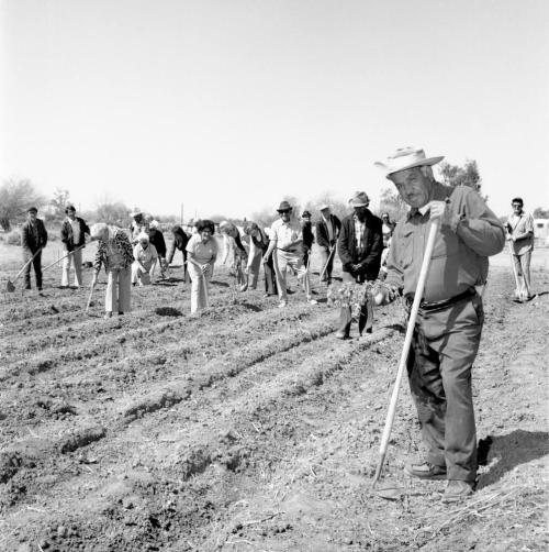 New Community Garden For Senior Citizens At 2525 East Victory Drive - From A Tempe Daily News Article