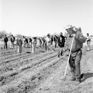 New Community Garden For Senior Citizens At 2525 East Victory Drive - From A Tempe Daily News Article
