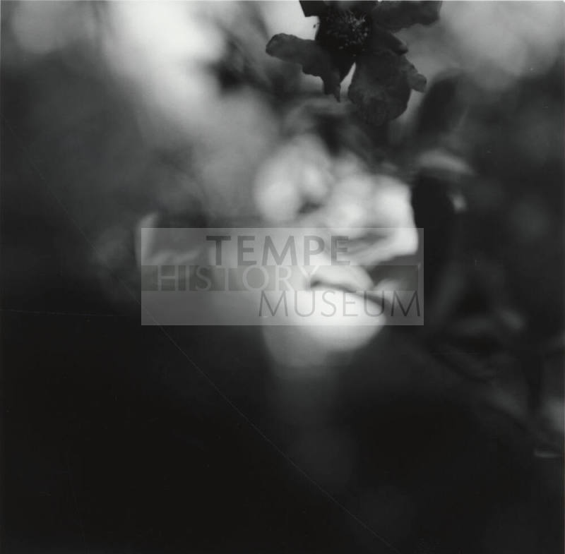 Unidentified picture