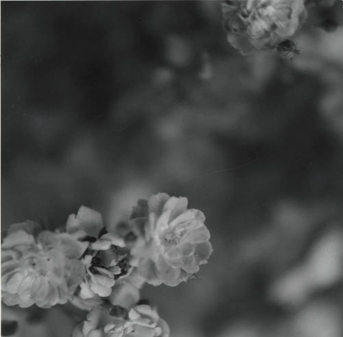 Unidentified picture