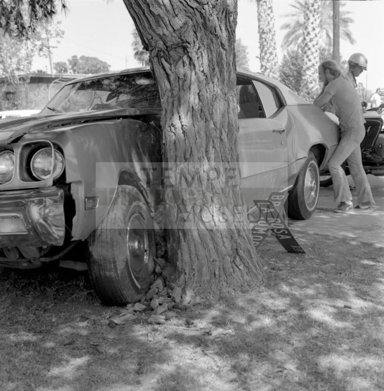 Unidentified Photograph - Car & Tree Crash