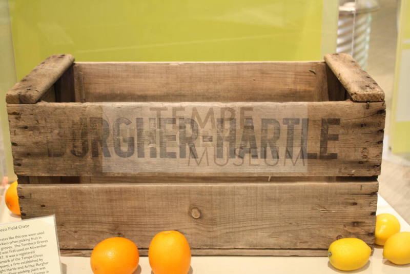 TempeCo. produce crate