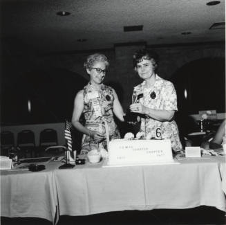 Woman Of The Year - Tempe Daily News - June 17, 1977