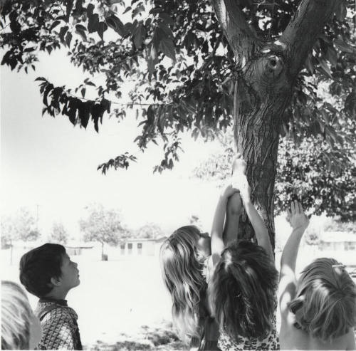 Signs Of Summer - Tempe Daily News - June 16, 1977