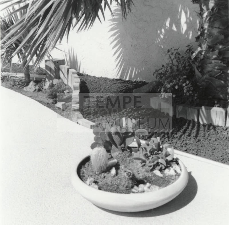 Designed for desert living. - Tempe Daily News, June 21 1977