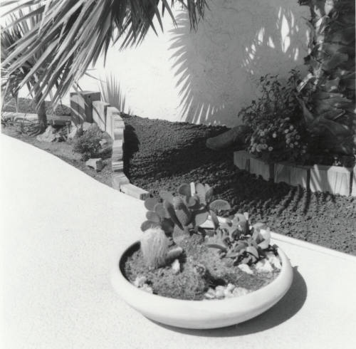 Designed for desert living. - Tempe Daily News, June 21 1977