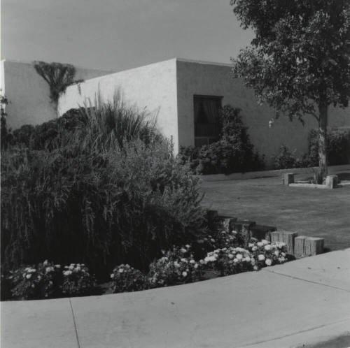 Yard of the Month. - Tempe Daily News, June 21 1977