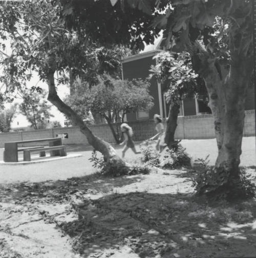 Old House New Generation. - Tempe Daily News, June 25 1977
