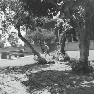 Old House New Generation. - Tempe Daily News, June 25 1977