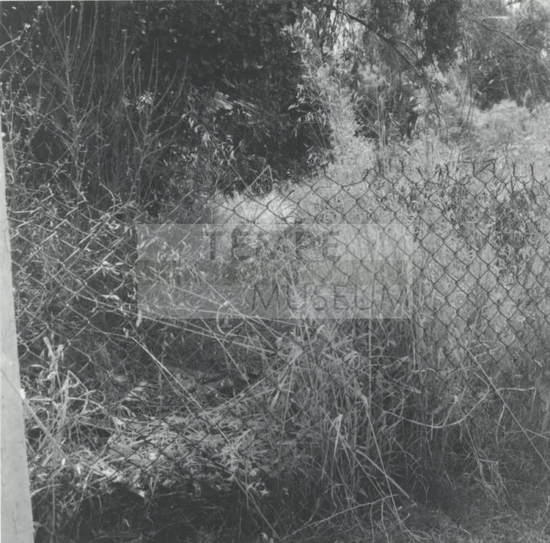 Whose Job? - Tempe Daily News, July 1 1977