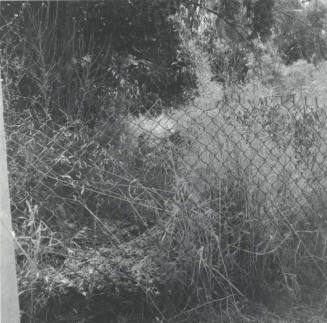 Whose Job? - Tempe Daily News, July 1 1977