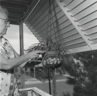 Bird in a Glazed Cag. - Tempe Daily News, July 1 1977