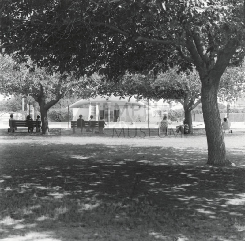In The Shade Of The Old Cottonwood