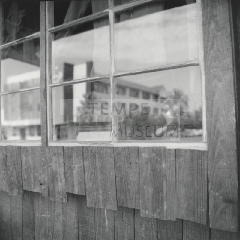 Cat in the Window
