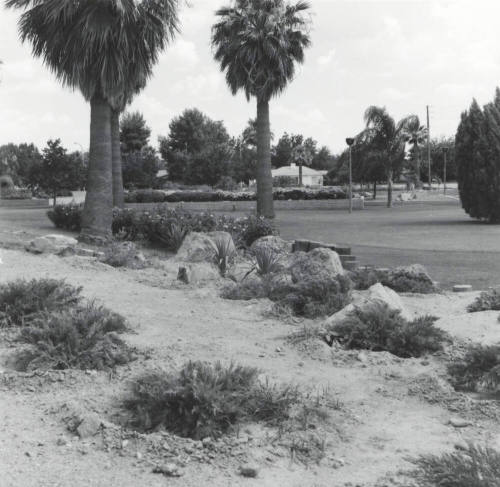 A Pleasant Blend - Tempe Daily News - July 7, 1977