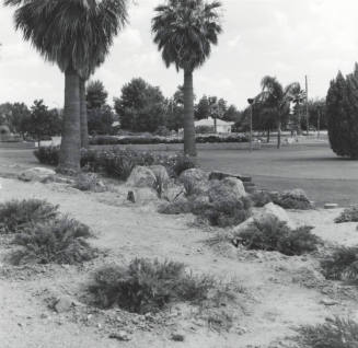 A Pleasant Blend - Tempe Daily News - July 7, 1977
