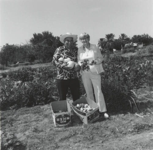 Reaping The Bounty - Tempe Daily News - July 15, 1977