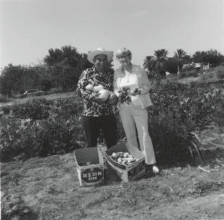 Reaping The Bounty - Tempe Daily News - July 15, 1977