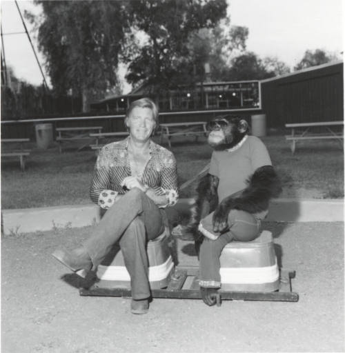 Chimpanzee and trainer at Legend City. - July 1977