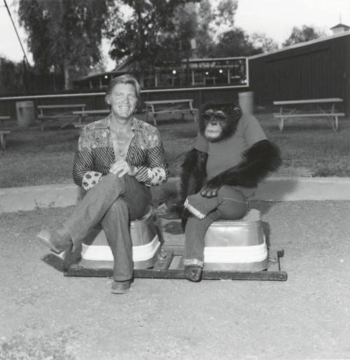 Chimpanzee and trainer at Legend City. - July 1977