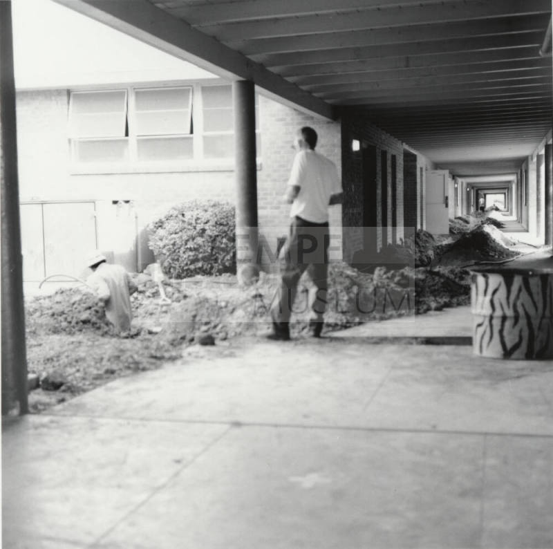 Moles On Mill - Tempe Daily News - August 11, 1977