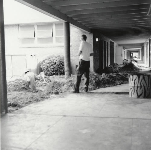 Moles On Mill - Tempe Daily News - August 11, 1977