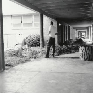 Moles On Mill - Tempe Daily News - August 11, 1977