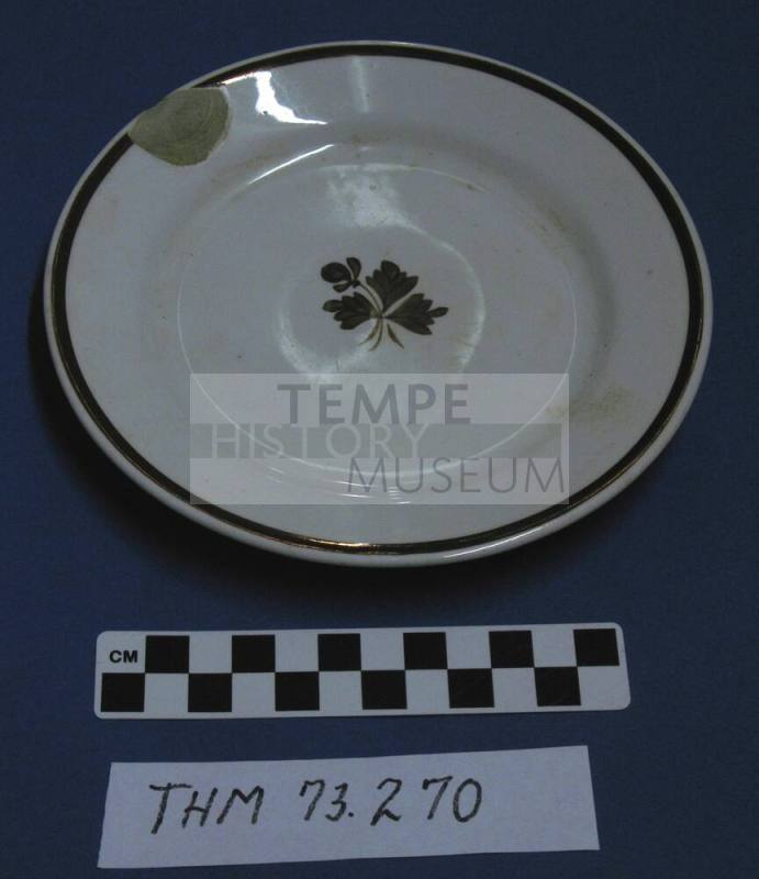 Saucer