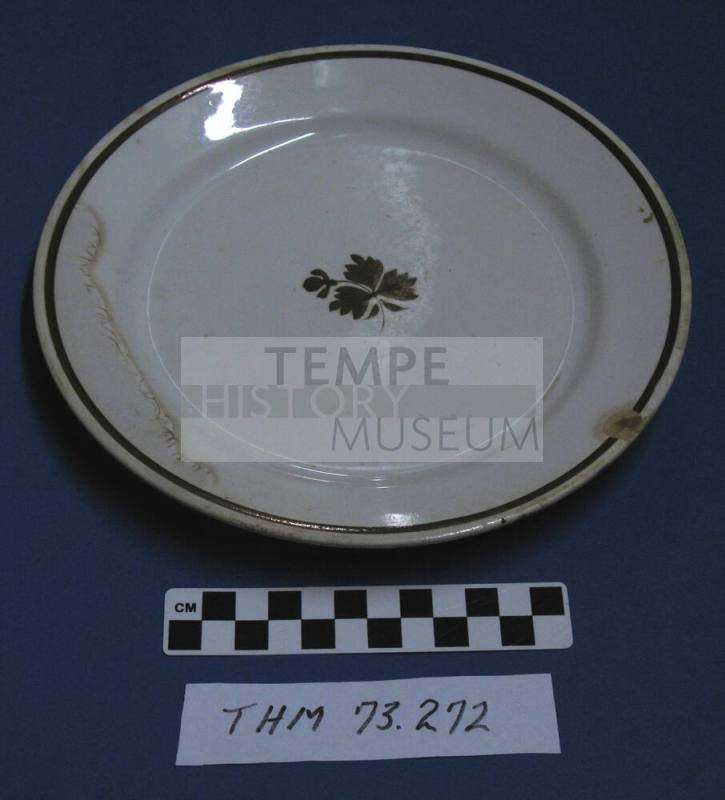 Plate