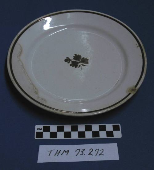 Plate