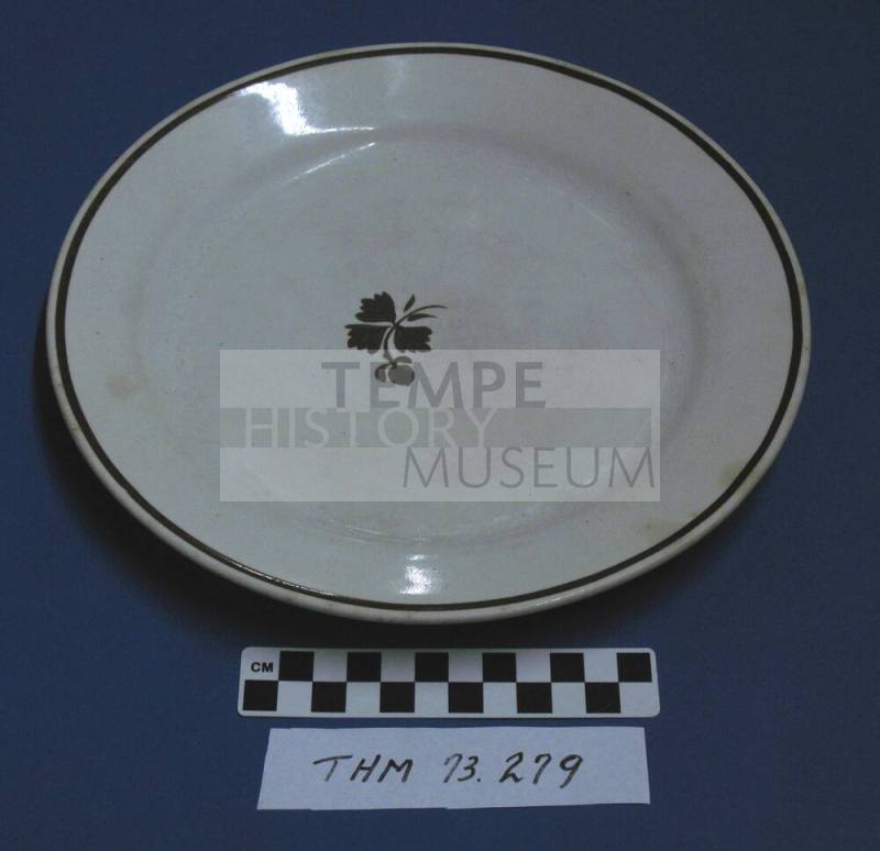 Dinner Plate
