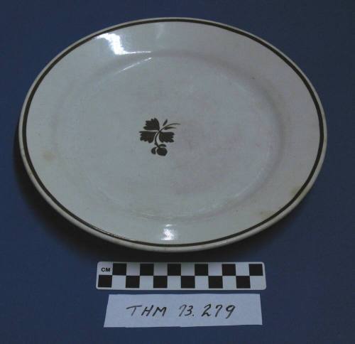 Dinner Plate