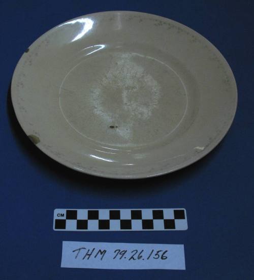 Dinner Plate