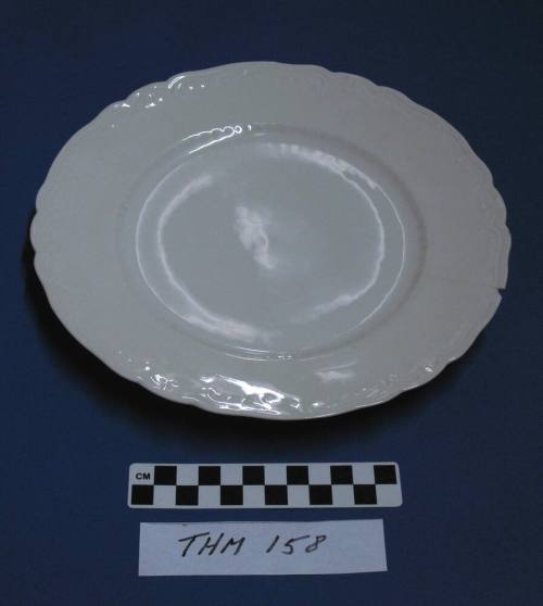 Dinner Plate
