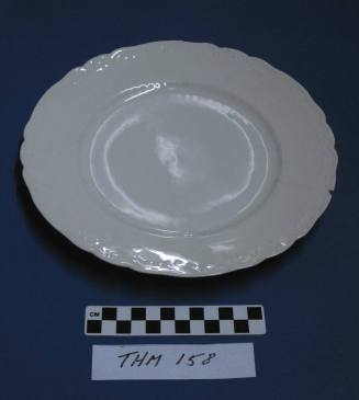 Dinner Plate