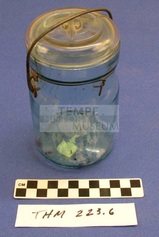 Preserving Jar Lid