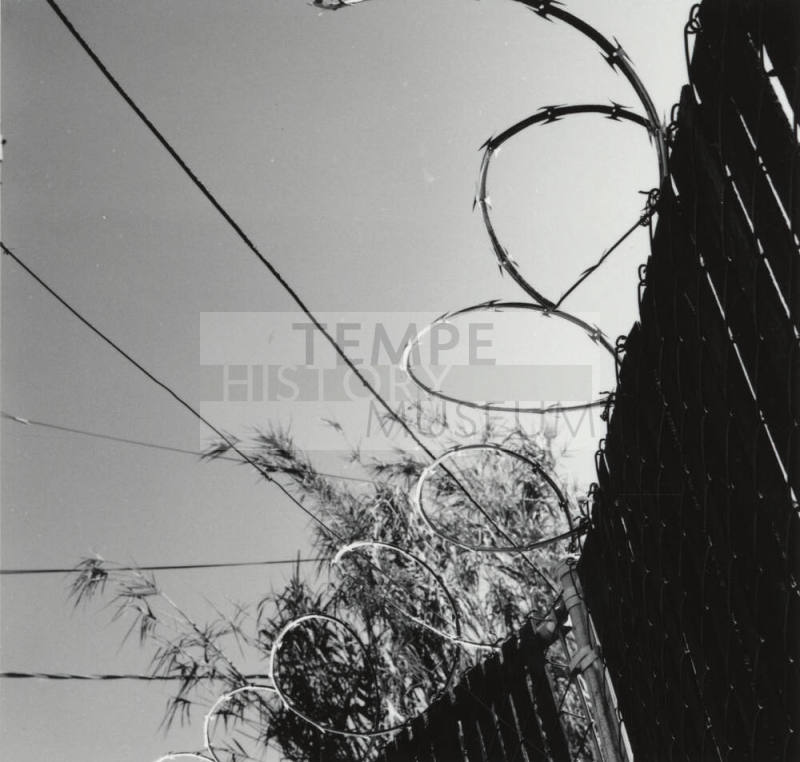 Nothing To Get Tangled Up In. - Tempe Daily News, September 3 1977