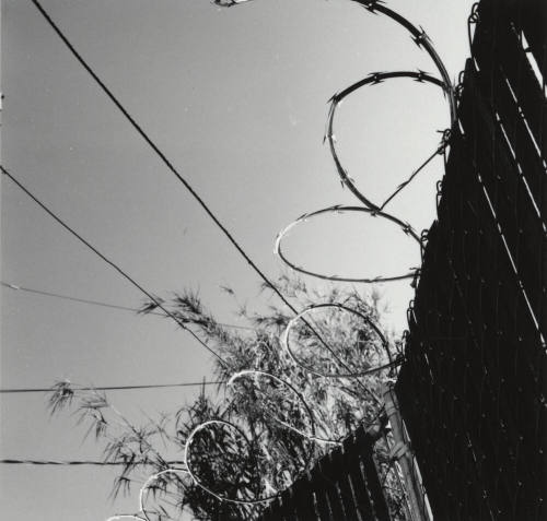 Nothing To Get Tangled Up In. - Tempe Daily News, September 3 1977