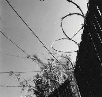 Nothing To Get Tangled Up In. - Tempe Daily News, September 3 1977