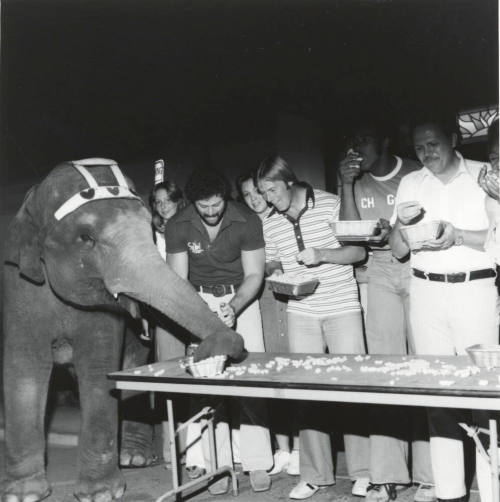 Working For Peanuts - Tempe Daily News,  October 14, 1977 - (1 of 5)