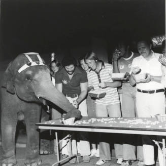 Working For Peanuts - Tempe Daily News,  October 14, 1977 - (1 of 5)