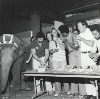 Working For Peanuts - Tempe Daily News,    October 14, 1977 - (3 of 5)