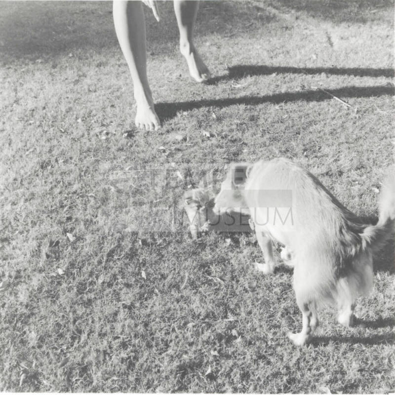 Filling in for Mom. - Tempe Daily News, October 28 1977