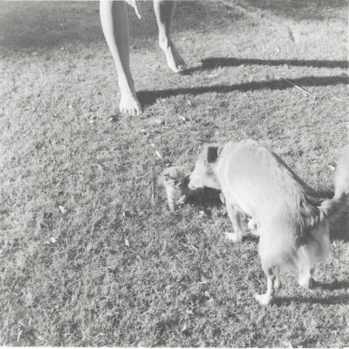 Filling in for Mom. - Tempe Daily News, October 28 1977